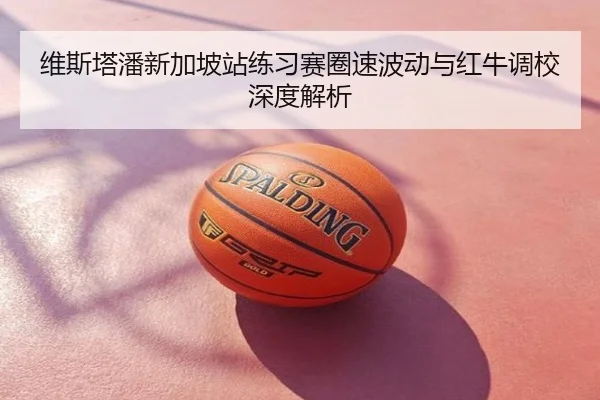 维斯塔潘新加坡站练习赛圈速波动与红牛调校深度解析