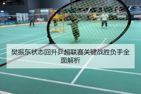 樊振东状态回升乒超联赛关键战胜负手全面解析